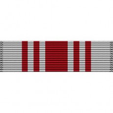 [Vanguard] Ribbon Unit #3229 | 약장
