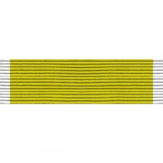 [Vanguard] Ribbon Unit #3233: Young Marine Achievement | 약장
