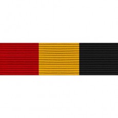 [Vanguard] Ribbon Unit #3307: Young Marine's Advanced Leadership | 약장