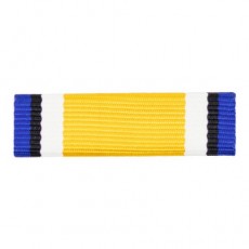 [Vanguard] Ribbon Unit #3317 Navy ROTC Ribbon Unit: NROTC Color Guard | 약장