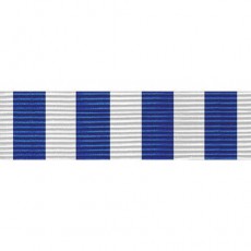 [Vanguard] Ribbon Unit #3614: California National Guard Drill Attendance | 약장