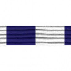 [Vanguard] Ribbon Unit #3665: Young Marine's Unit Chaplain | 약장
