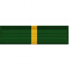 [Vanguard] Ribbon Unit #3681 | 약장