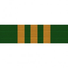 [Vanguard] Ribbon Unit #3683: Young Marine's Unit Commendation | 약장