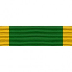 [Vanguard] Ribbon Unit #3709: AFJROTC Leadership School | 약장