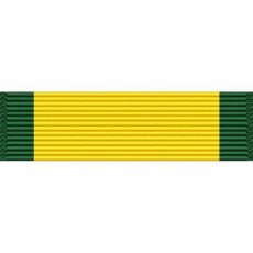 [Vanguard] Ribbon Unit #3710 | 약장