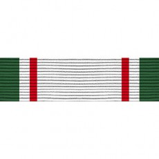 [Vanguard] Ribbon Unit #4003: Young Marine's Academic Achievement | 약장