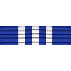 [Vanguard] Ribbon Unit #5198: Young Marine's Salesman of the Year | 약장