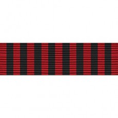 [Vanguard] Ribbon Unit #5404: Young Marine's Community Leadership | 약장