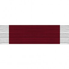 [Vanguard] Ribbon Unit #7119: Young Marine's Lifesaving Third Degree | 약장