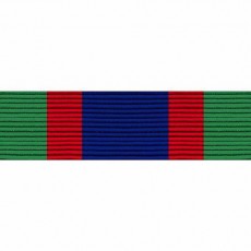 [Vanguard] Ribbon Unit #7130: Young Marine's Land Navigation | 약장