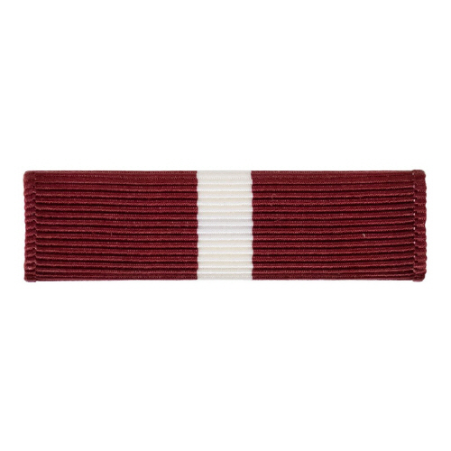 [Vanguard] Coast Guard Ribbon Unit: Good Conduct | 약장