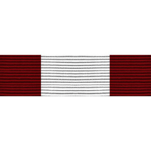 [Vanguard] PHS Ribbon Unit - Association of Military Surgeons of the United States | 약장