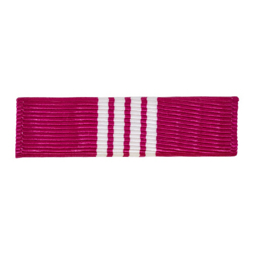 [Vanguard] Ribbon Unit: Army Superior Civilian Service Medal | 약장