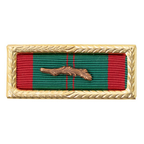 [Vanguard] Ribbon Unit: Vietnam Civil Action First Class with palm and large frame | 약장