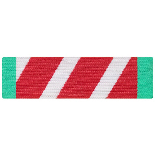 [Vanguard] Ribbon Unit: Vietnam Staff Service 1st Class | 약장