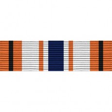 [Vanguard] Ribbon Unit: DOT Secretary's Award for Meritorious Achievement | 약장