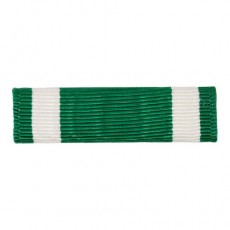 [Vanguard] Commendation Ribbon Unit: Navy and Marine Corps | 약장