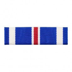 [Vanguard] Ribbon Unit: Distinguished Flying Cross | 약장
