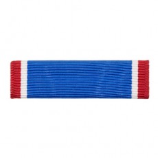 [Vanguard] Army Ribbon Unit: Distinguished Service Cross | 약장