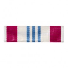 [Vanguard] Ribbon Unit: Defense - Meritorious Service | 약장