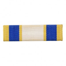 [Vanguard] Air Force Ribbon Unit: Distinguished Service Medal | 약장
