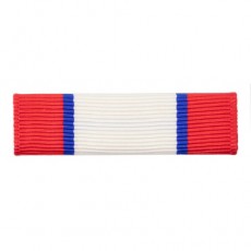 [Vanguard] Army Ribbon Unit: Distinguished Service Medal | 약장