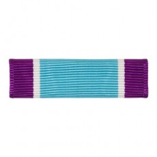 [Vanguard] Coast Guard Ribbon Unit: Distinguished Service | 약장