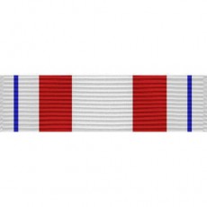 [Vanguard] Coast Guard Ribbon Unit: Person of the Year | 약장