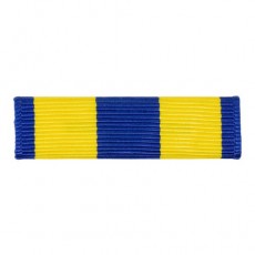 [Vanguard] Navy Ribbon Unit: Expeditionary | 약장