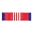 [Vanguard] Coast Guard Ribbon Unit: Meritorious Team Commendation | 약장