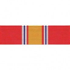 [Vanguard] Ribbon Unit: National Defense | 약장