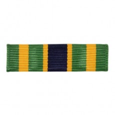 [Vanguard] Ribbon Unit: Army NCO Professional Development | 약장