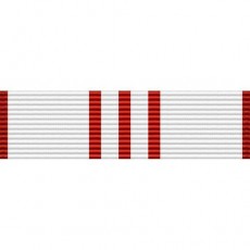 [Vanguard] Ribbon Unit: Air Force Outstanding Civilian Service Medal | 약장