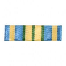 [Vanguard] Ribbon Unit: Military Outstanding Volunteer Service | 약장