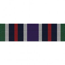 [Vanguard] PHS Ribbon Unit - Bicentennial Unit Commendation | 약장