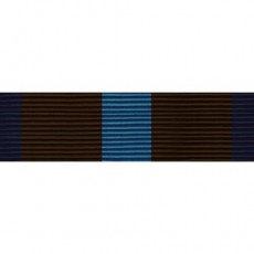 [Vanguard] PHS Ribbon Unit - Achievement Medal | 약장