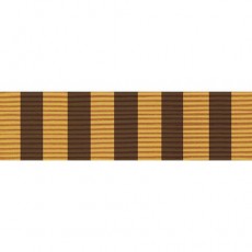 [Vanguard] PHS Ribbon Unit - Outstanding Unit Citation | 약장