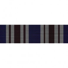 [Vanguard] PHS Ribbon Unit - Special Assignment Service | 약장