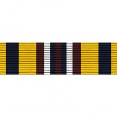 [Vanguard] PHS Ribbon Unit - Recruitment Service | 약장