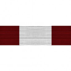 [Vanguard] PHS Ribbon Unit - Association of Military Surgeons of the United States | 약장