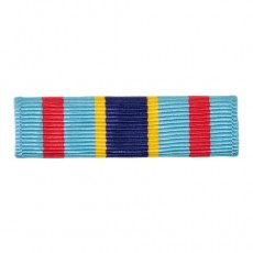[Vanguard] Navy Ribbon Unit: Reserve Sea Service | 약장