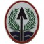 [Vanguard] Army CSIB: Army Element Multi National Corps - Iraq