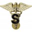 [Vanguard] Army Officer Branch of Service Collar Device: Medical S - gold plated