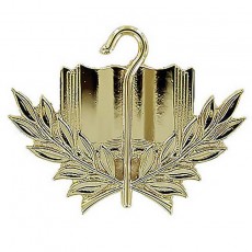 [Vanguard] Army officer Branch of Service Collar Device: Chaplain Candidate - 22K gold plated