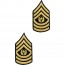 [Vanguard] Army Chevron: Command Sergeant Major - gold embroidered on green, male