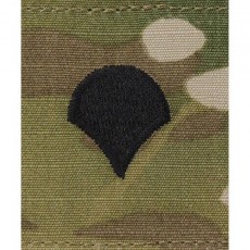 [Vanguard] Army Gortex Rank: Specialist - OCP jacket tab