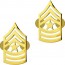 [Vanguard] Army Chevron: Sergeant Major - 22k gold plated