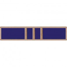 [Vanguard] Lapel Pin: Navy Meritorious Civilian Service Award