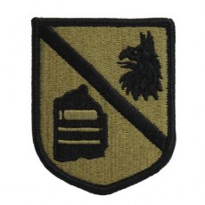 [Vanguard] Army Patch: Defense Language Institute - embroidered on OCP
